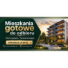 Grafika