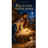 Bóg się rodzi, nadzieja jaśnieje – grafika