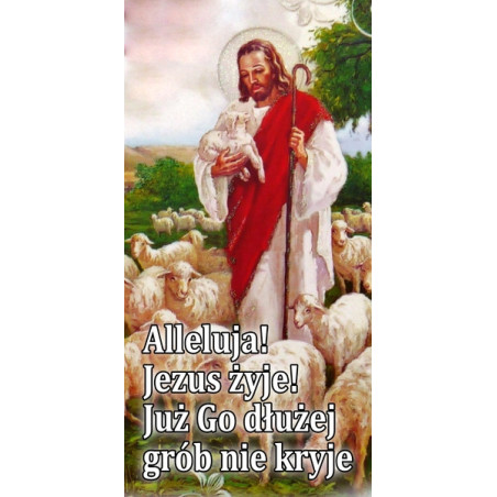 Grafika