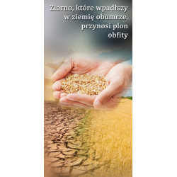 Grafika