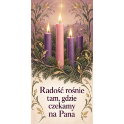 Grafika