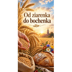 Grafika