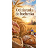 Grafika